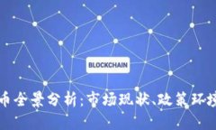 以色列虚拟币全景分析：