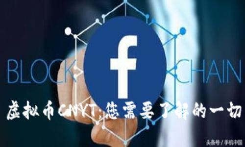 虚拟币CNYT：您需要了解的一切