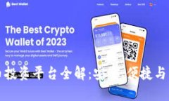 中国虚拟币投资平台全解