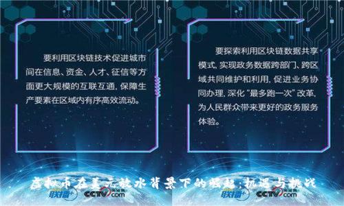 虚拟币在美元放水背景下的崛起：机遇与挑战