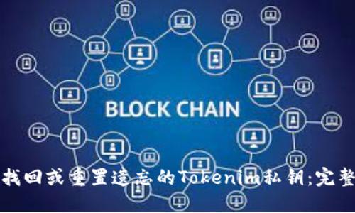 如何找回或重置遗忘的Tokenim私钥：完整指南