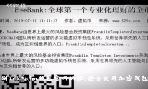 如何辨别Tokenim钱包官网地址：安全使用加密钱包的指南