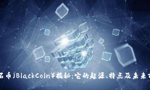 黑石币（BlackCoin）揭秘：它的起源、特点及未来前景