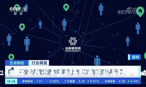 2023年马拉个币虚拟币价格分析与投资策略