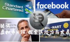 和关键词马来虚拟币MSR：