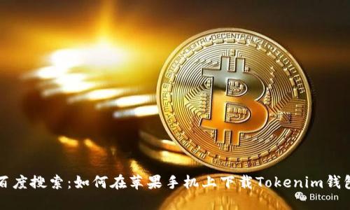 百度搜索：如何在苹果手机上下载Tokenim钱包