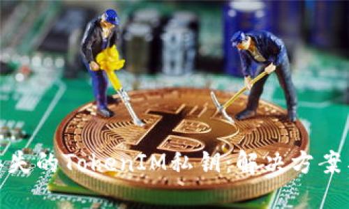 如何找回丢失的TokenIM私钥：解决方案与预防措施