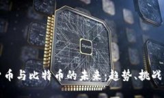 虚拟货币与比特币的未来