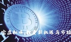 帝皇宝虚拟币：投资新机