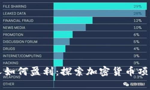 虚拟币创始人如何盈利：探索加密货币项目的收入模式
