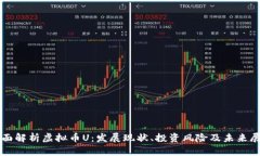 全面解析虚拟币U：发展现