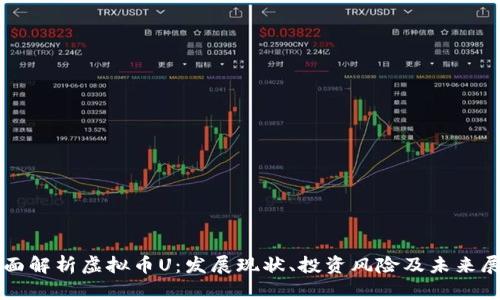 全面解析虚拟币U：发展现状、投资风险及未来展望