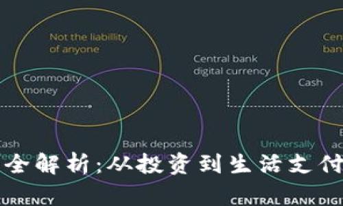 虚拟币应用全解析：从投资到生活支付的未来趋势