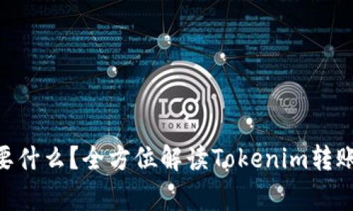 Tokenim转账需要什么？全方位解读Tokenim转账流程与注意事项