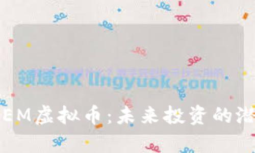 深入解析EM虚拟币：未来投资的潜力与挑战