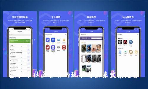 虚拟币社区合作的现状与未来发展趋势