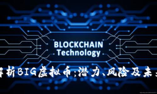 全面解析BIG虚拟币：潜力、风险及未来走势