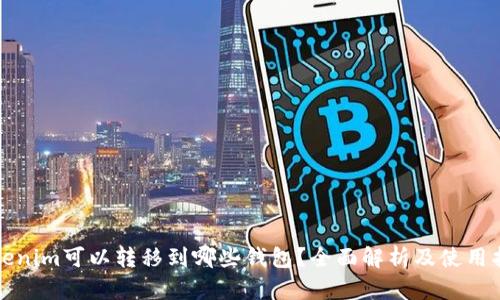 Tokenim可以转移到哪些钱包？全面解析及使用指南