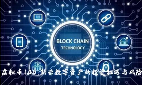 阳光虚拟币100：新兴数字资产的投资机遇与风险分析
