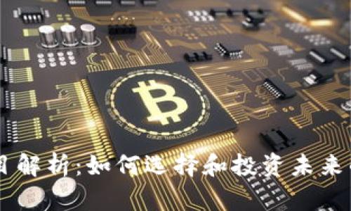 虚拟币落地项目解析：如何选择和投资未来的数字货币项目