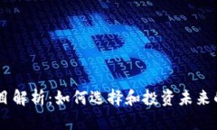 虚拟币落地项目解析：如