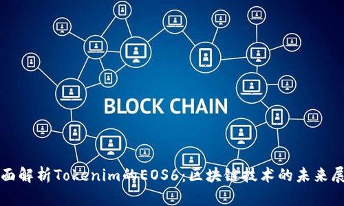 全面解析Tokenim的EOS6：区块链技术的未来展望