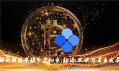 全面解析韩国毕姥爷虚拟