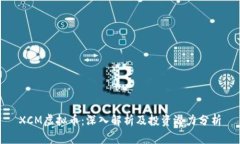 XCM虚拟币：深入解析及投