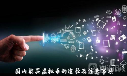 
国内能买虚拟币的途径及注意事项