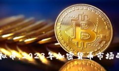 顶点号虚拟币：2023年加密