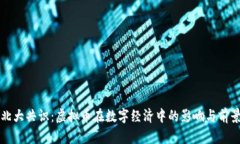 北大共识：虚拟币在数字