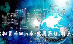 深入解析虚拟货币Win币：