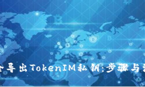 如何安全导出TokenIM私钥：步骤与注意事项