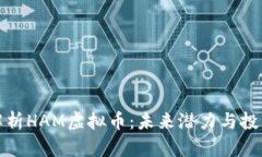 深度解析HAM虚拟币：未来