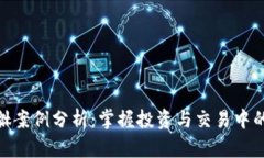 : 虚拟币貔貅案例分析：掌