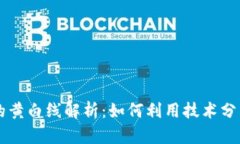 虚拟币交易中的黄白线解