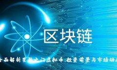 全面解析星际之门虚拟币