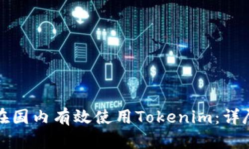如何在国内有效使用Tokenim：详尽指南