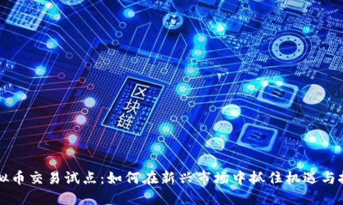 虚拟币交易试点：如何在新兴市场中抓住机遇与挑战