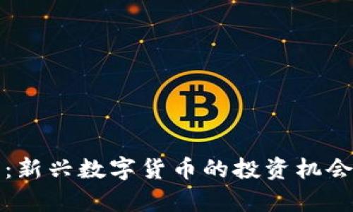 鱿鱼虚拟币：新兴数字货币的投资机会与风险解析