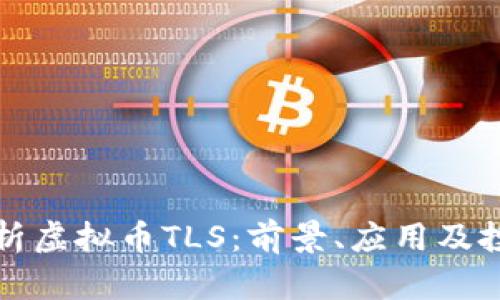 深度解析虚拟币TLS：前景、应用及投资策略