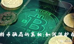 揭露虚拟币比特币骗局的
