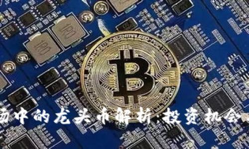 虚拟币市场中的龙头币解析：投资机会与风险分析