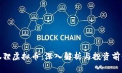 狐狸虚拟币：深入解析与