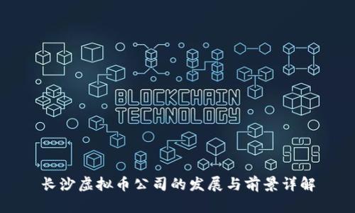 长沙虚拟币公司的发展与前景详解