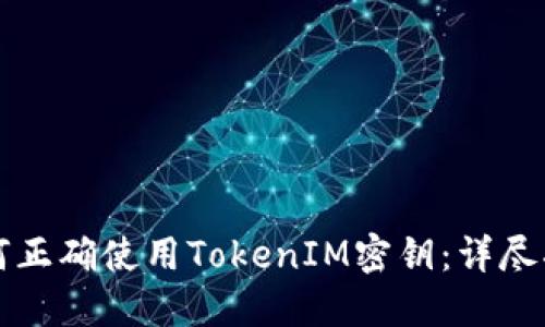 如何正确使用TokenIM密钥：详尽指南