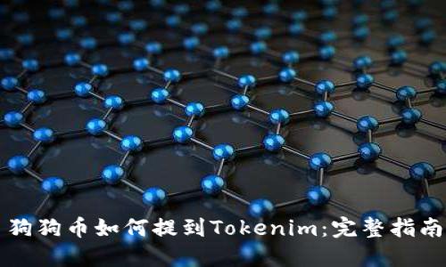 狗狗币如何提到Tokenim：完整指南