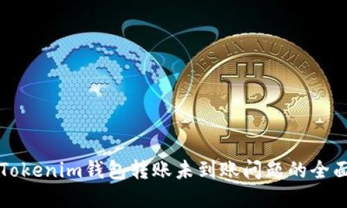 解决Tokenim钱包转账未到账问题的全面指南