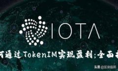 如何通过TokenIM实现盈利：