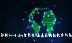 全面解析Tokenim智能链：未